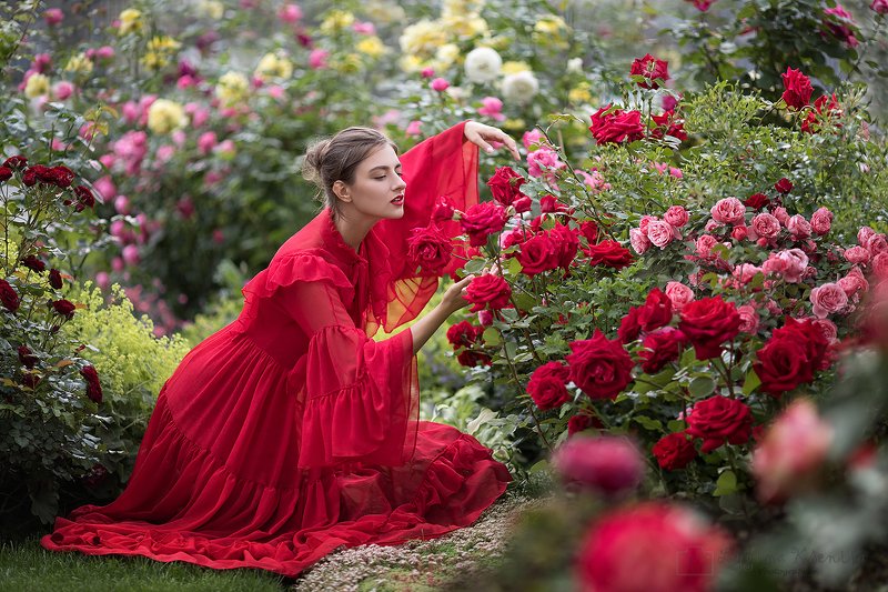 #rose #garden #portrait #bloom Rose garden in the desertphoto preview