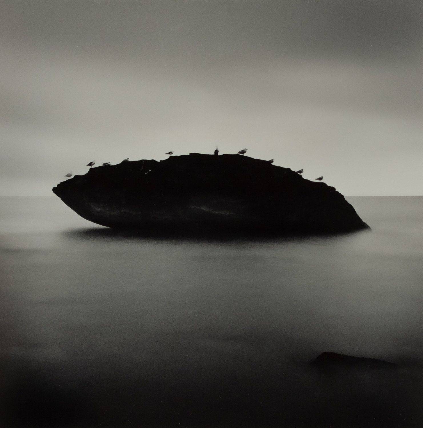 Ten birds. Автор: Aleksandr Osokin filmphotography, analogphotography, darkroomphotography, silvergelatineprint, Aleksandr Osokin