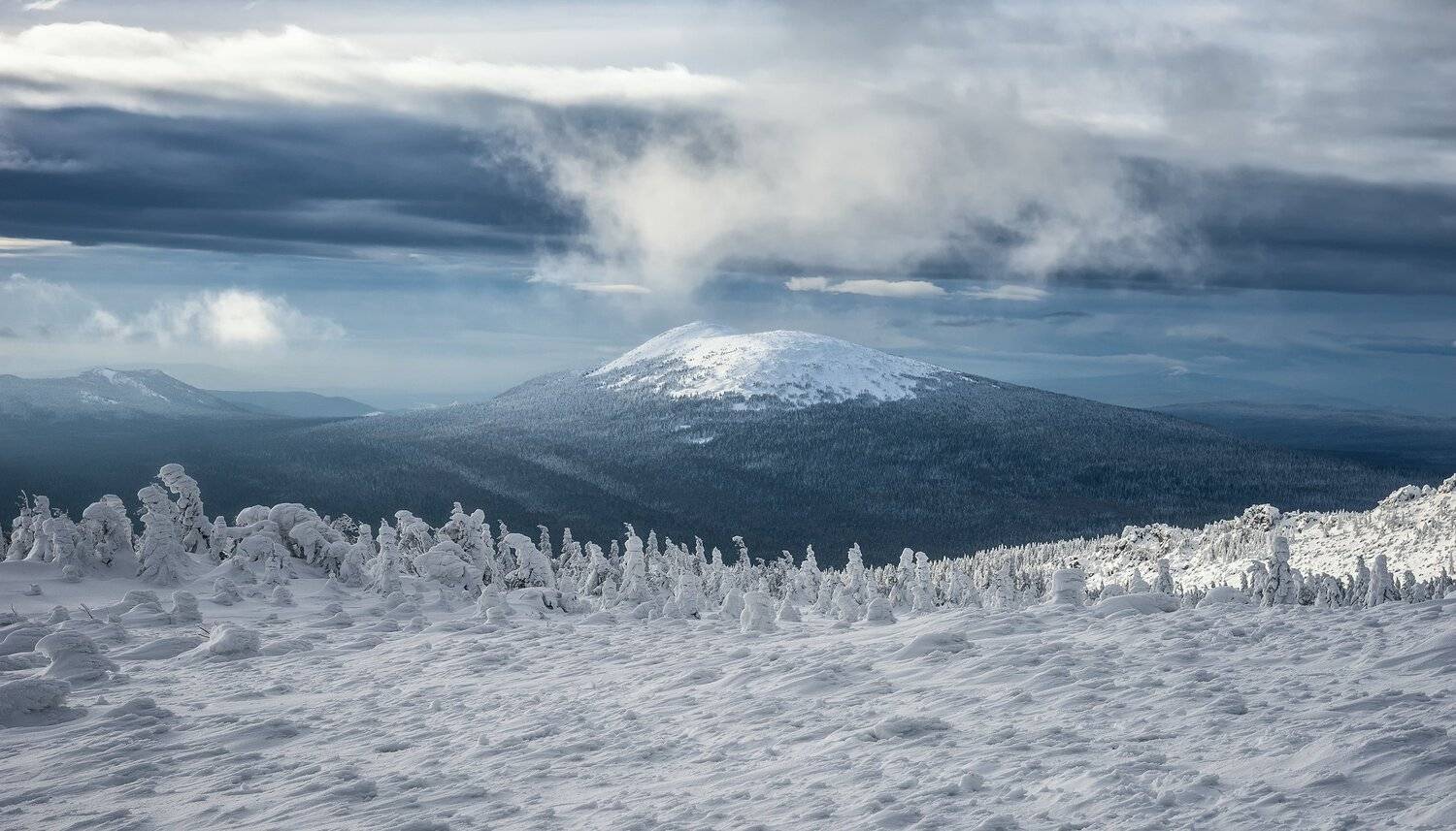 , Алексей Козаченко
