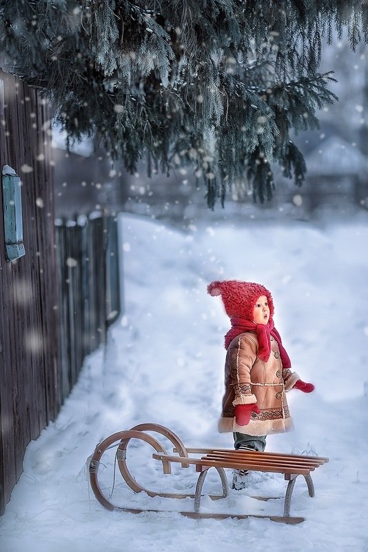 зима, снег, мороз, санки photo preview