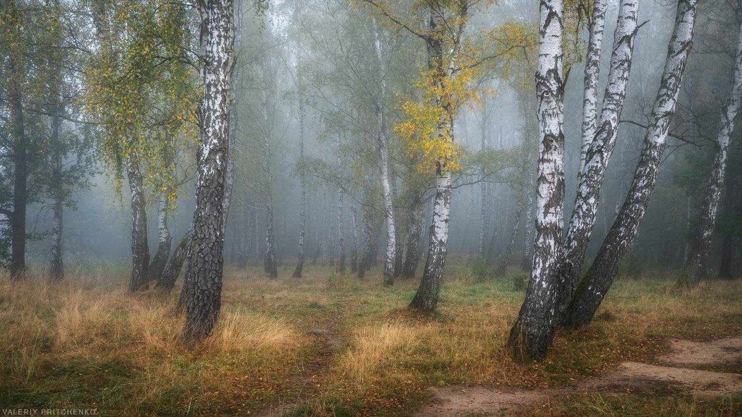 , Валерий Притченко