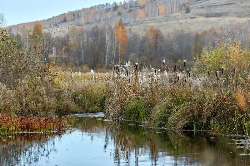 башкирия, южный урал орск новотроицк Камышиная Осень!photo preview