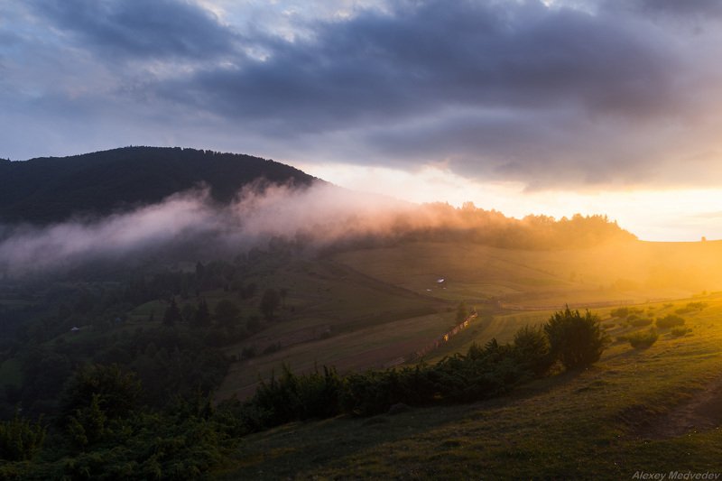 горганы, горы, карпаты, украина, вечер, сумерки, горганы, синевир Вечер на седловиеphoto preview