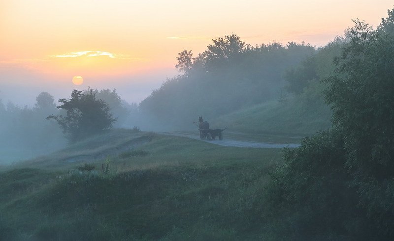 Растворилась тишинаphoto preview