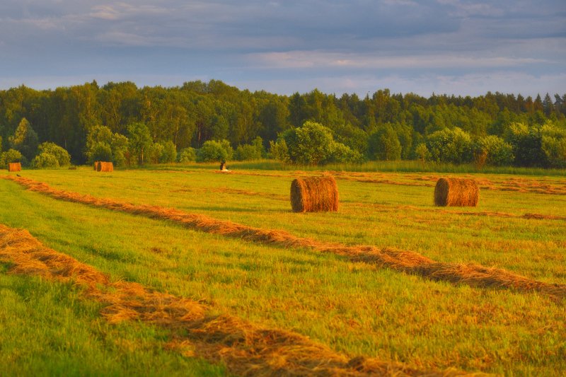 Полет photo preview