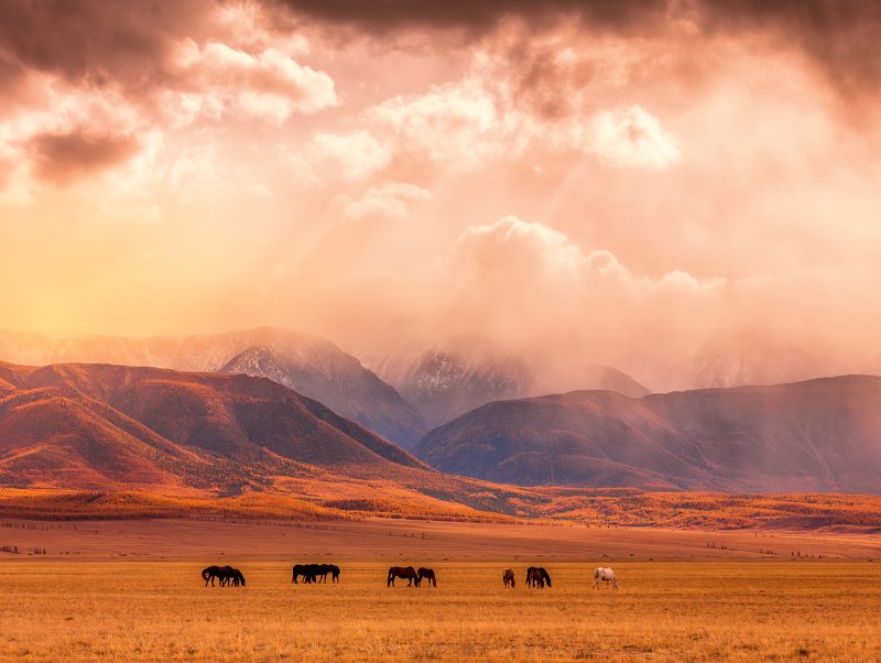 Безмятежность...photo preview