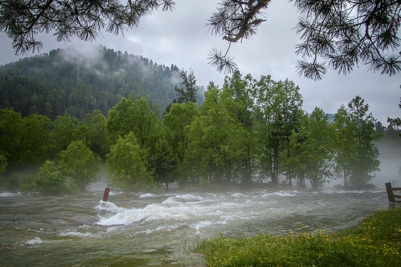 Наводнение. Алтайphoto preview