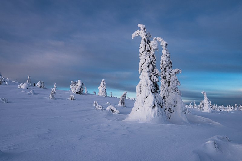 winter, snow, nature, lapland, finland, national park, зима, снег, природа, лапландия Two towers (Две башни)photo preview