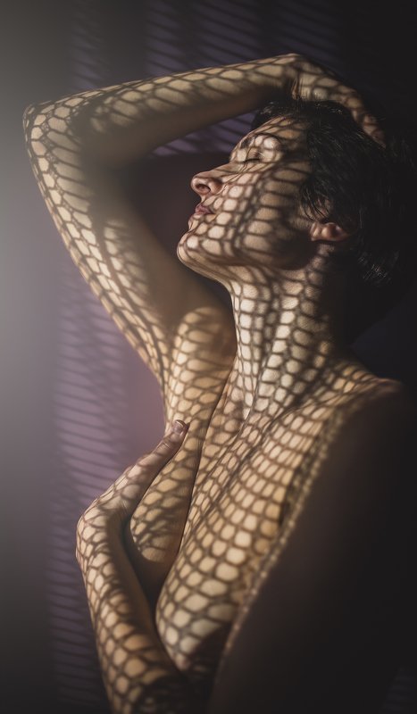 В сети солнцаphoto preview