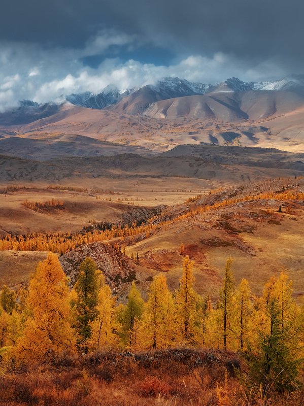 Алтайphoto preview