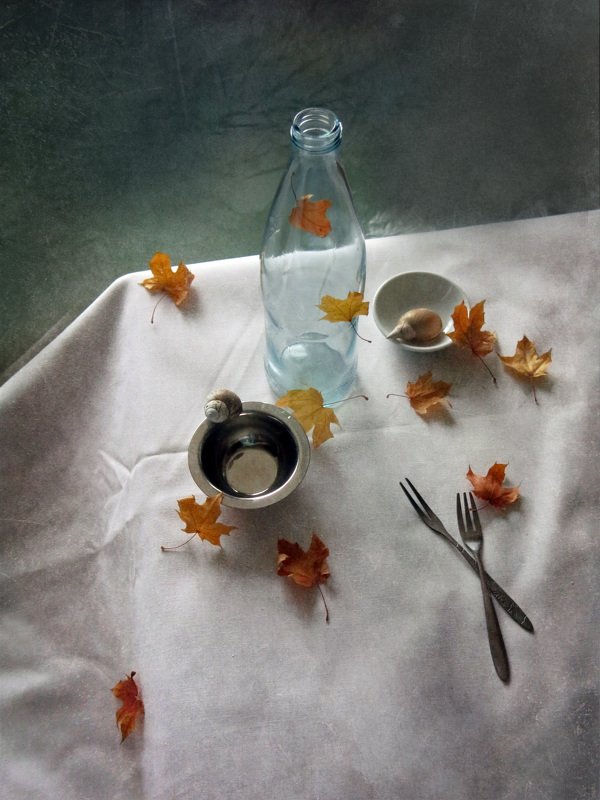 С кленовыми листьямиphoto preview