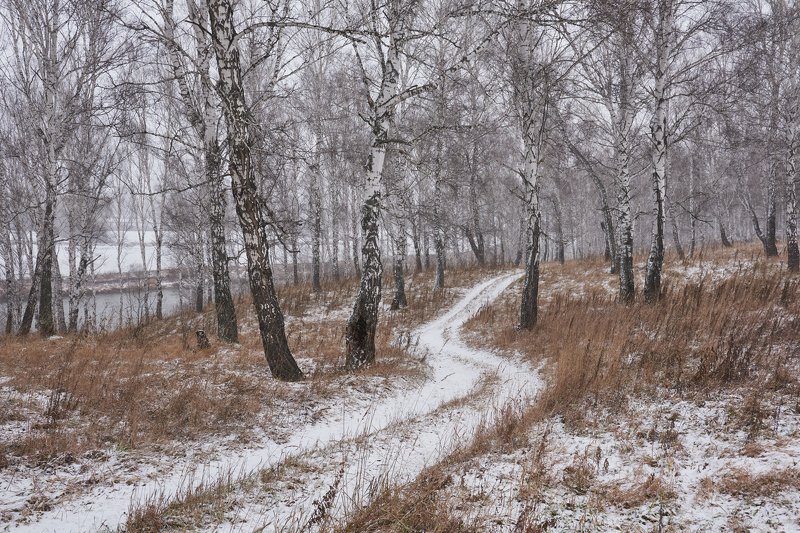 По первому снегуphoto preview