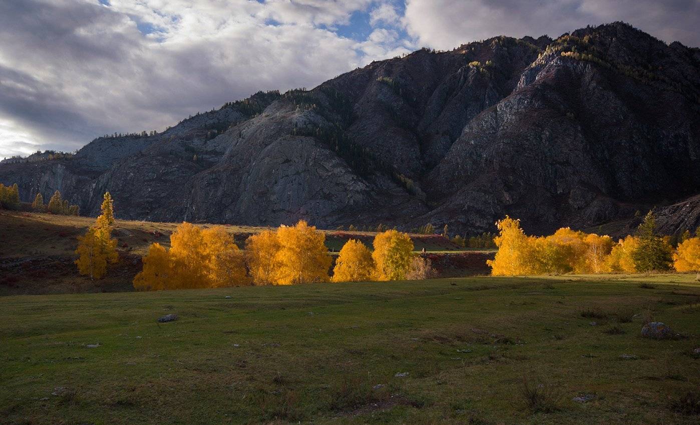 алтай, осень, горы, деревья, чуйский_тракт, закат, свет, желтые, палитра, Валерий Чичкин