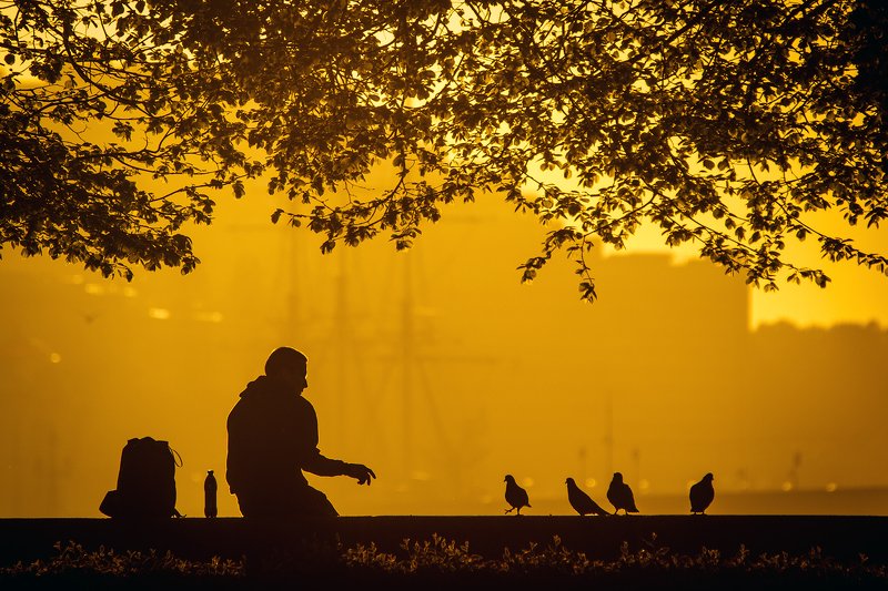 Санкт-Петербург Диалогphoto preview