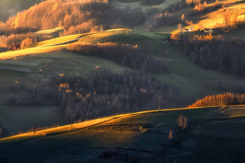 Autumn light. фото превью