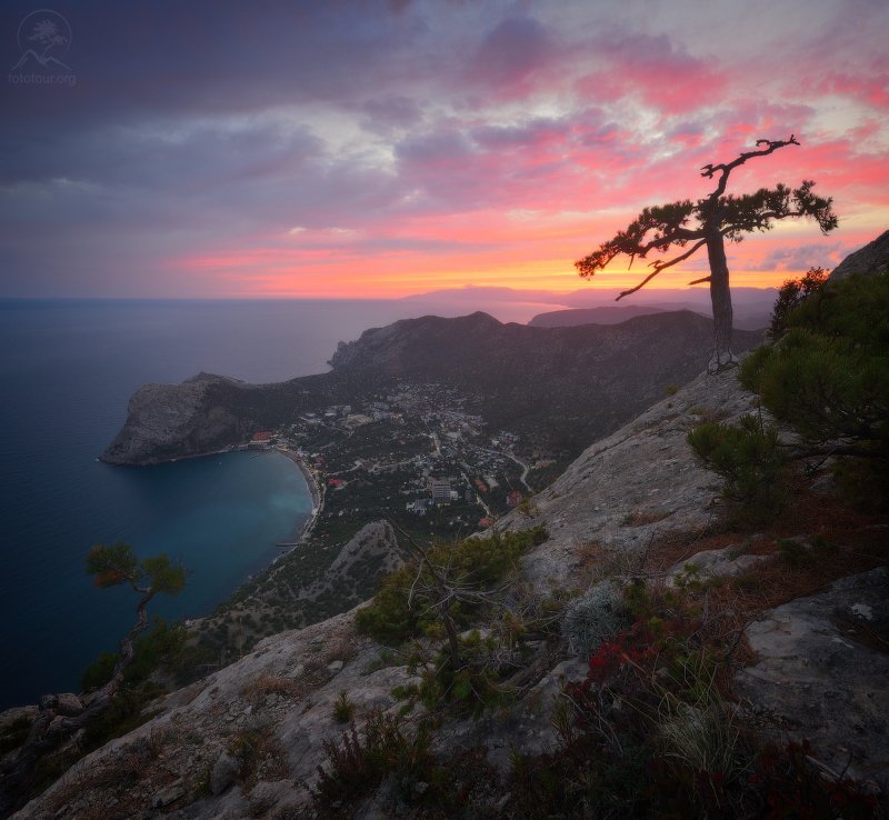 крым, горы, море, дерево Над Новым Светомphoto preview