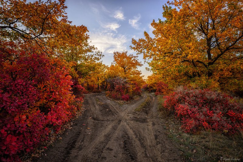 осень, листва, осенние краски, дорога, деревья, облака, природа, небо, пейзаж Осеньphoto preview