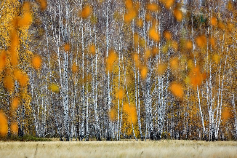башкирия, южный урал орск новотроицк Осенняяphoto preview