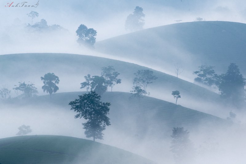 #sellingphoto #landscape Good morningphoto preview