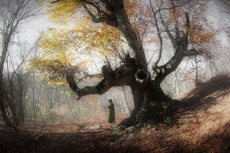 Сказки Демерджи photo preview