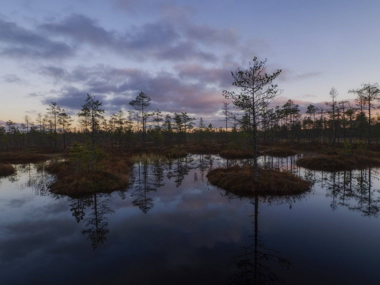 , роман фарберов