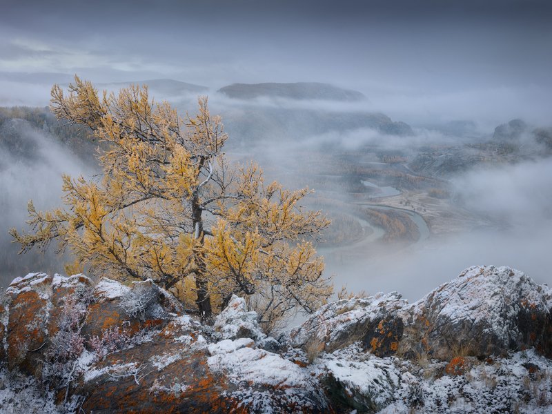 алтай, курай, туман, снег Страж туманного царстваphoto preview