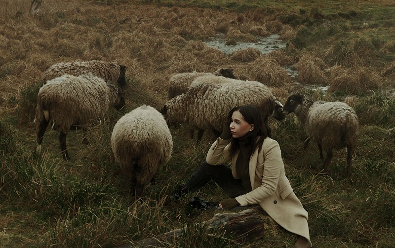 Freedomphoto preview