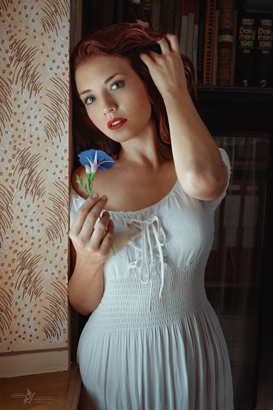 Red vs. Bluephoto preview