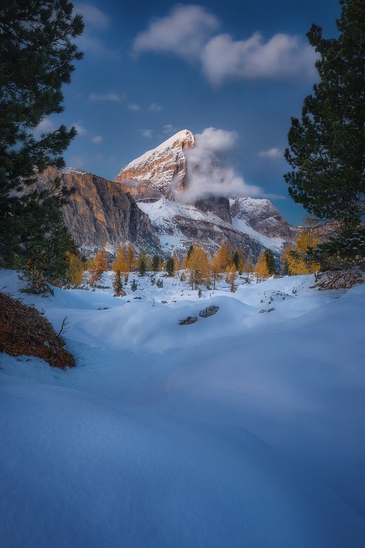 lago, limides, dolomiti, italy, snow, landscape, winter, tree,  lago limidesphoto preview