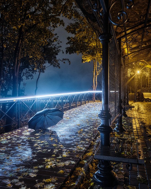 вечер, город, аллея, дождь, зонт, деревья, листья, осень, фонарь Разлука...photo preview