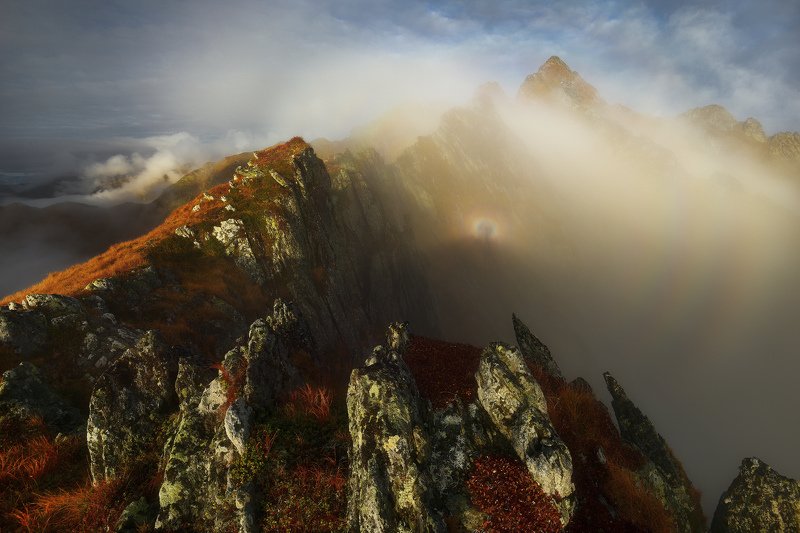 Just like heavenphoto preview