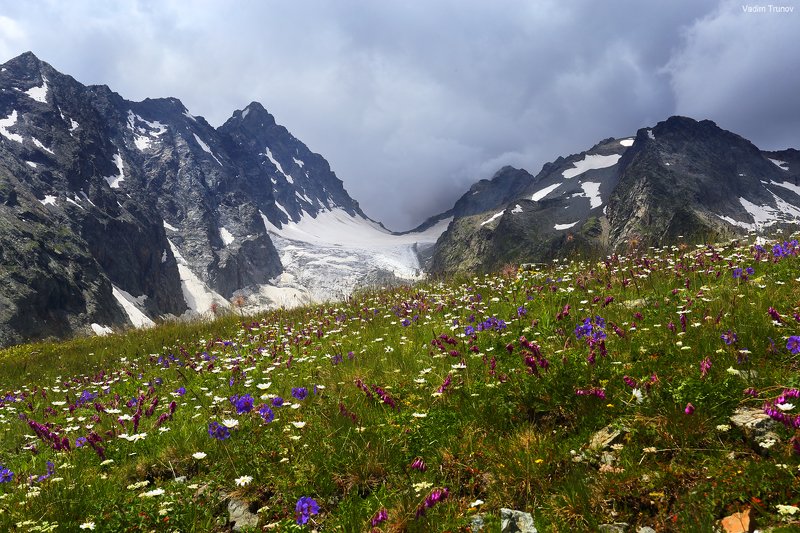 кавказ, кчр,  аманауз Цветущий Кавказphoto preview