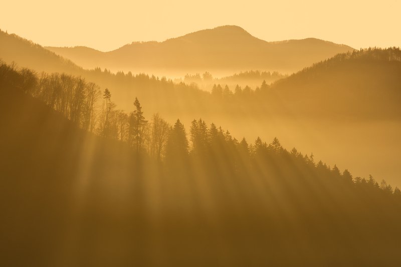 Morning raysphoto preview