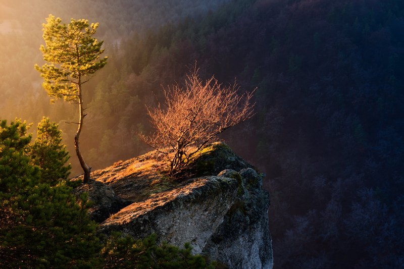 Two friendsphoto preview