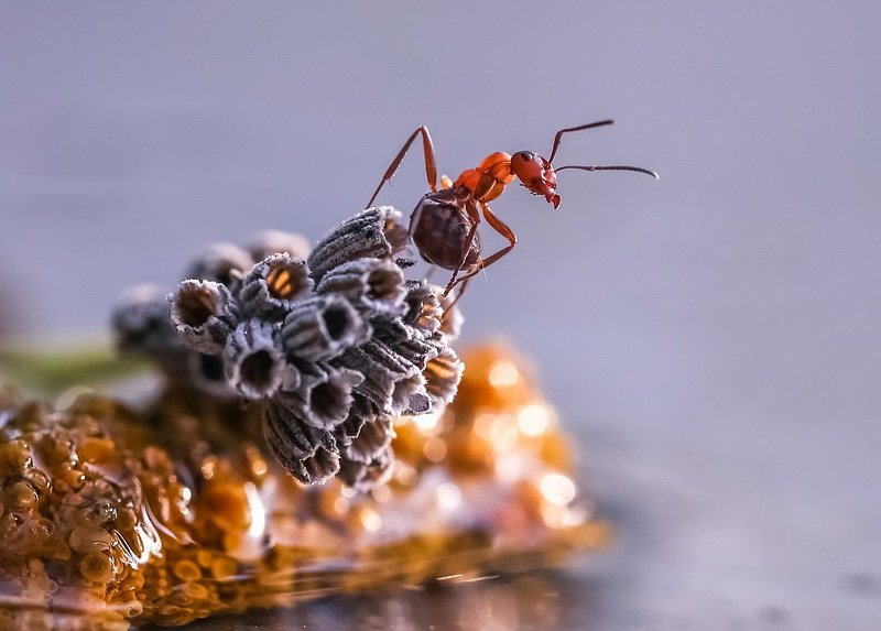 Ты сними,сними меня фотограф...photo preview