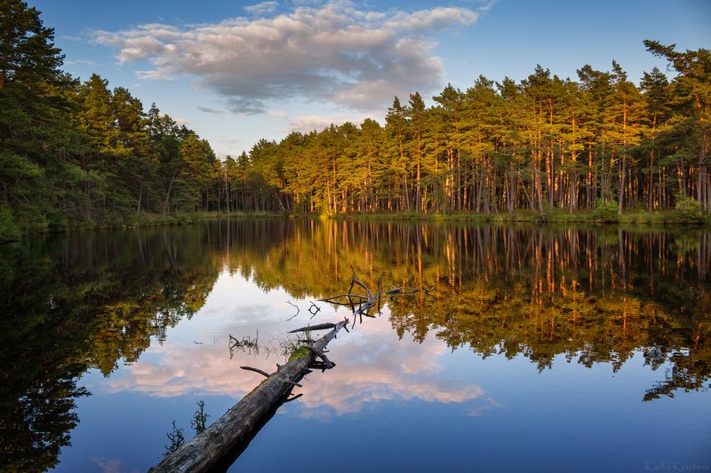 Вечер на лесном озере фото превью