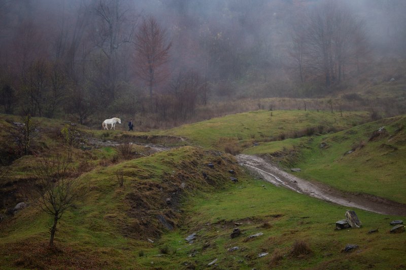 из сказкиphoto preview