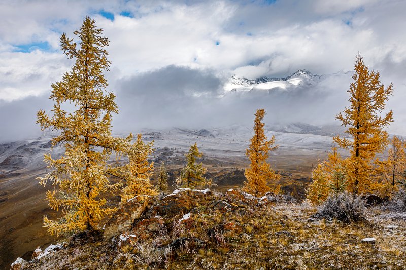 алтай, осень,  пейзаж, путешествие Приоткрываяphoto preview