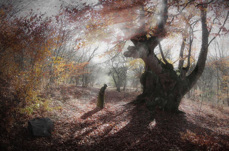 Сказки Демерджи 1photo preview