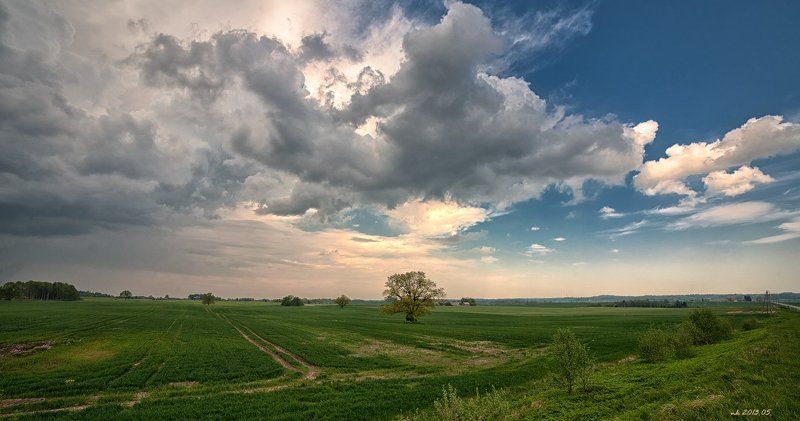 долинушкаphoto preview