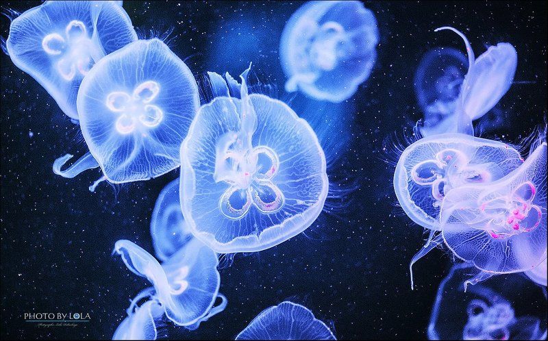 космосphoto preview