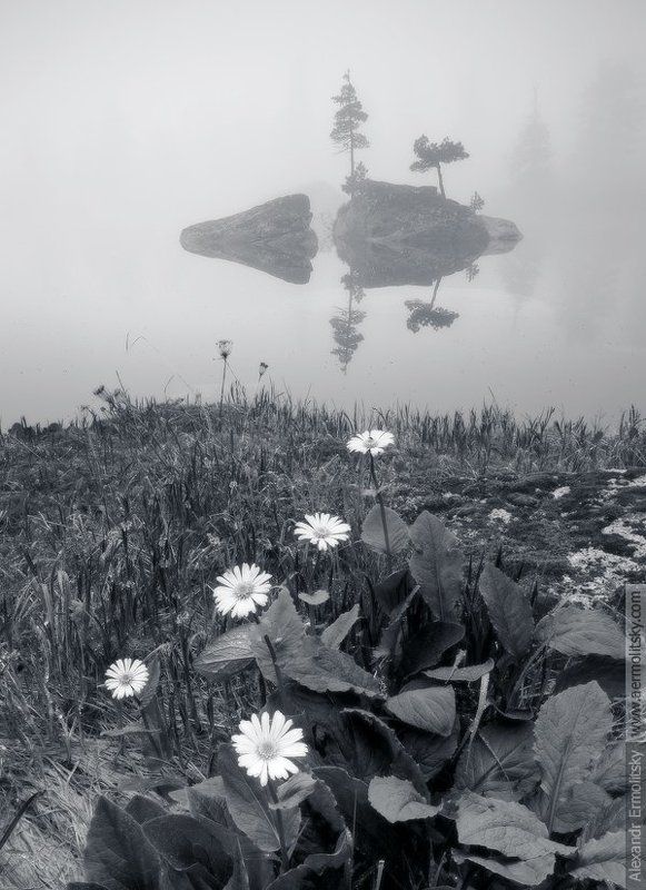 ~ Волшебный остров ~photo preview