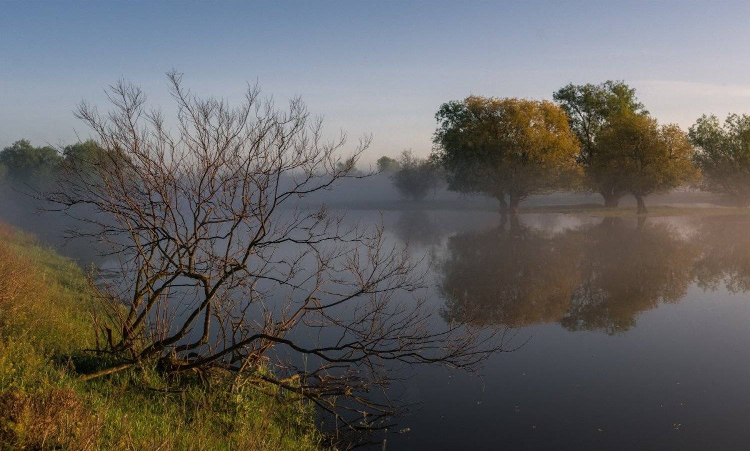 Тянущийся к воде. Автор: Пеккер Сергей , Пеккер Сергей