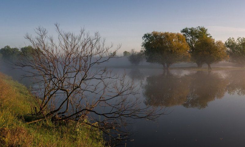 Тянущийся к водеphoto preview