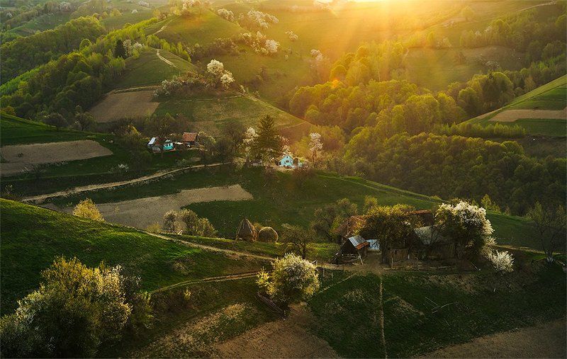 Под утреним солнцемphoto preview