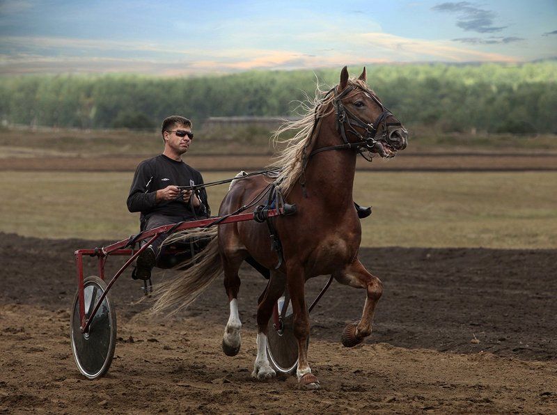 кемерово, кузбасс Вечерний моционphoto preview