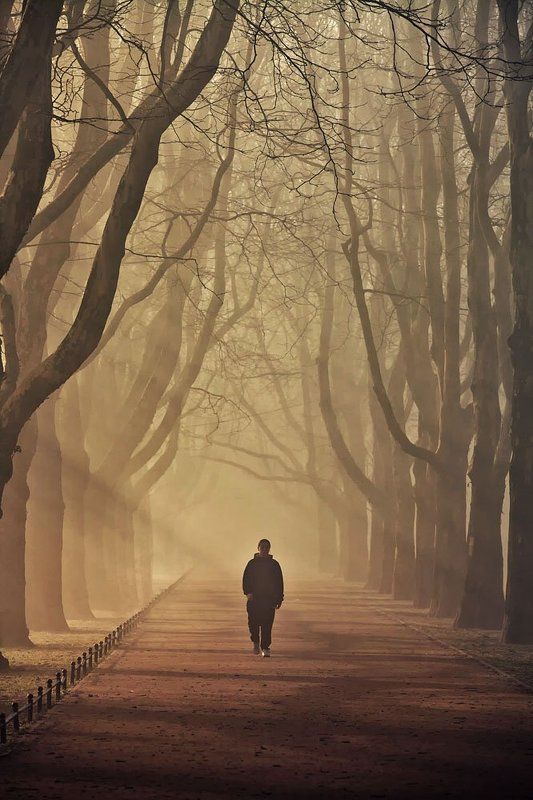 in the morning..photo preview