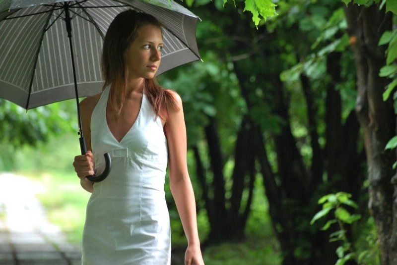 Summer rainphoto preview