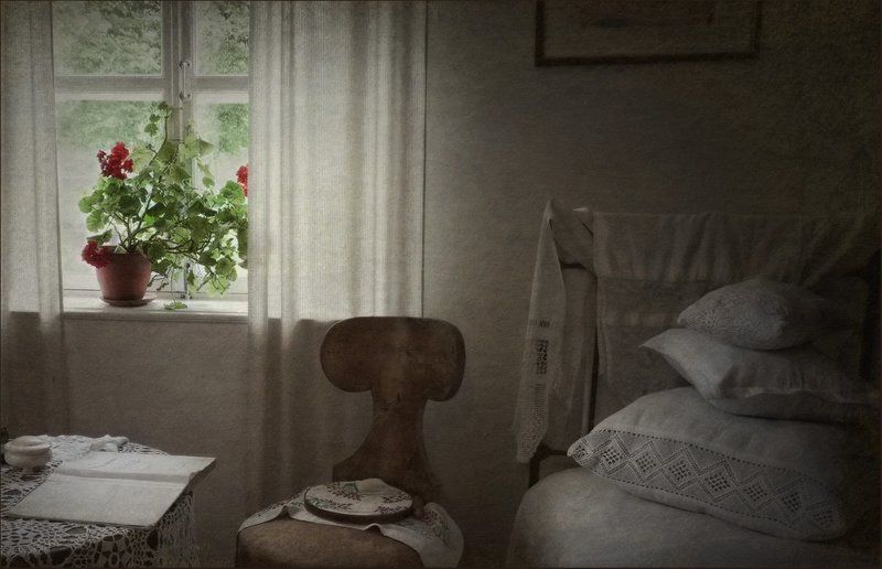 С красной геранью фото превью