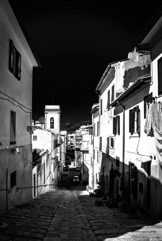 tarbeev -photo preview